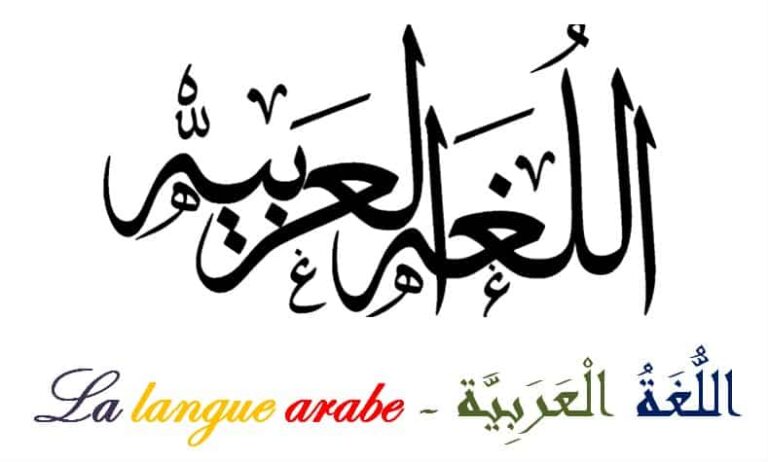 وجوب تعلّم اللّغة العربيّة/L’obligation d’apprendre la langue arabe